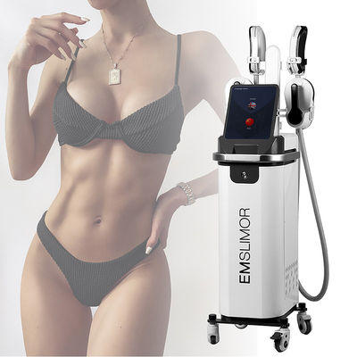 4 Handle EMS Mesin Penciptaan Stimulasi Otot EMS Body Slim EMS Stimulator Penciptaan Otot RF Mesin Penciptaan Tubuh